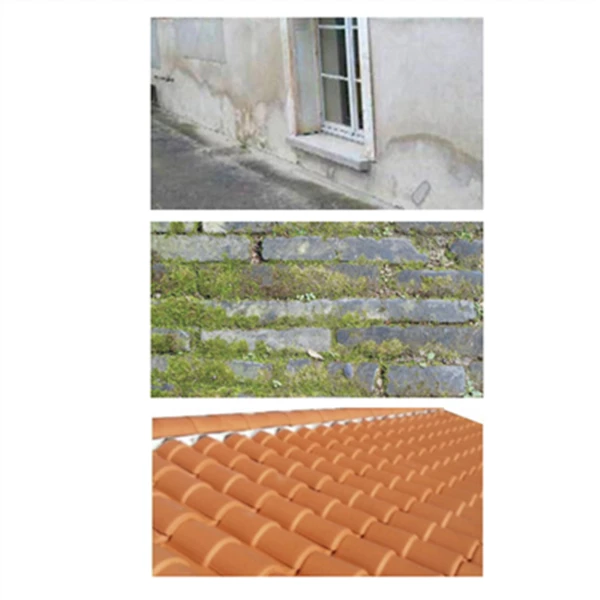 Traitements Des Toitures Traitement Curatif Et Préventif Pour Toitures Et Façades Elos - Bidon De 20 Litres 2 Traitements Des Toitures Traitement Curatif Et Préventif Pour Toitures Et Façades Elos - Bidon De 20 Litres – Image 2