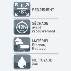 Peintures Antirouille Et SpĂ©ciales Fer Shampoing Actif Détergent Surpuissant Métaux V33 Spécial Fer Bidon 1L